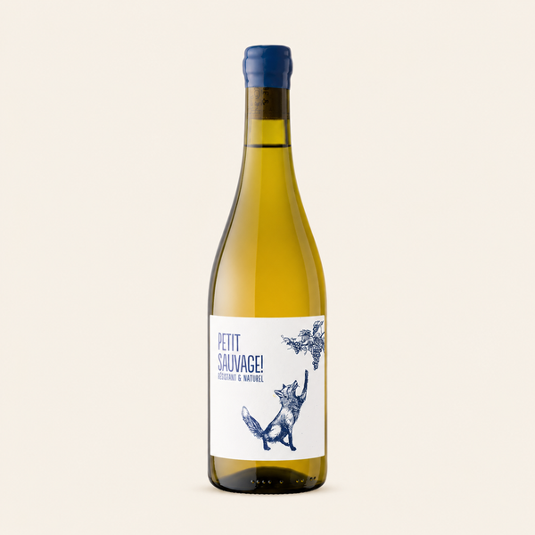 Le Petit Sauvage Blanc — Domaine Pierre et Antonin