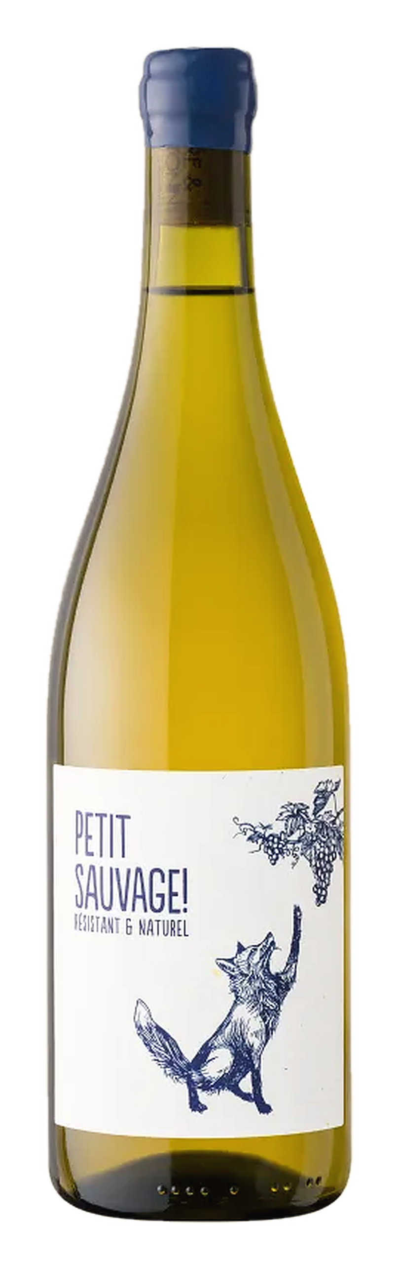 Le Petit Sauvage Blanc — Domaine Pierre et Antonin