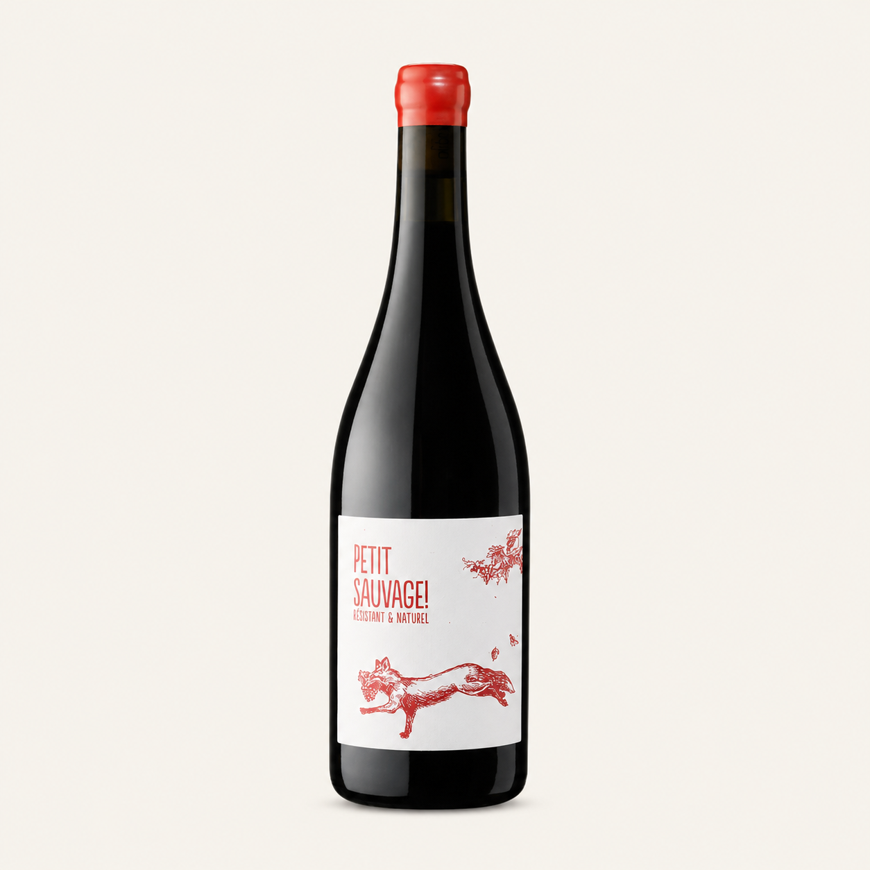 Le Petit Sauvage Rouge — Domaine Pierre et Antonin