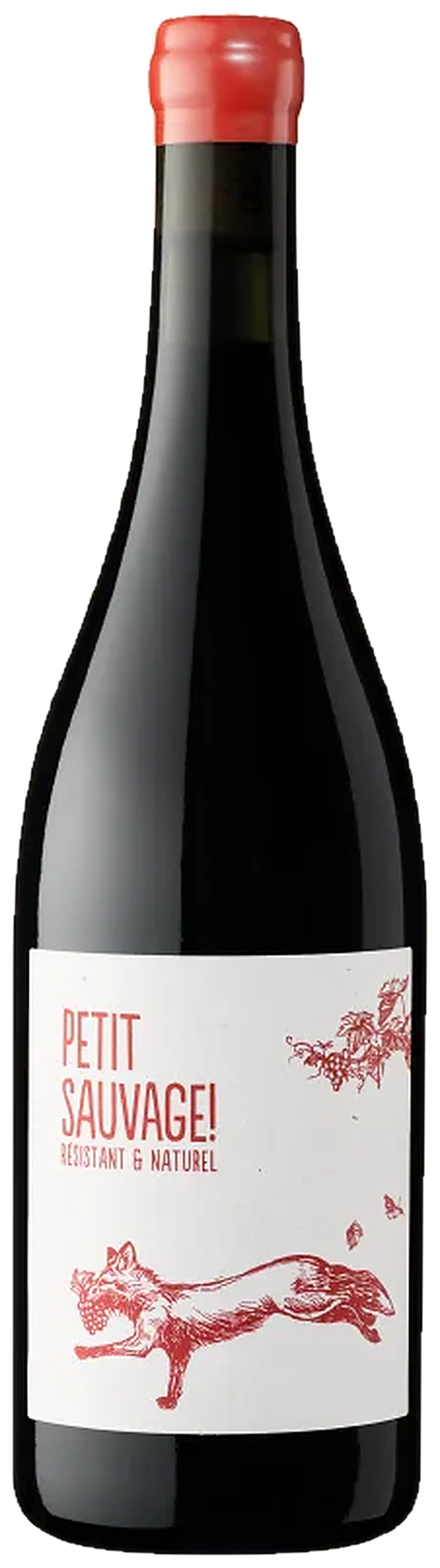 Le Petit Sauvage Rouge — Domaine Pierre et Antonin